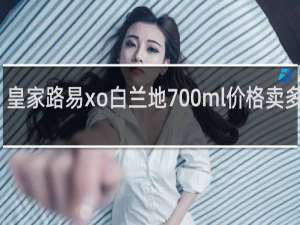 皇家路易xo白兰地700ml价格卖多少钱