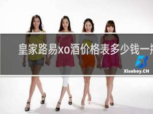 皇家路易xo酒价格表多少钱一瓶