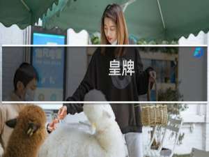 皇牌