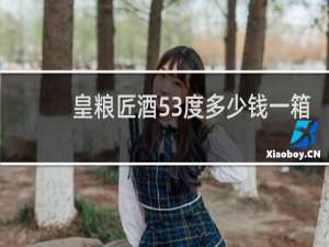 皇粮匠酒53度多少钱一箱