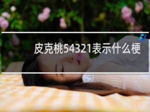 皮克桃54321表示什么梗