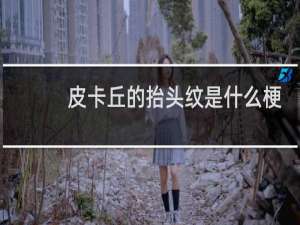皮卡丘的抬头纹是什么梗 皮卡丘的抬头纹是什么意思什么梗