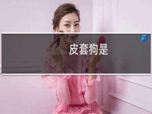 皮套狗是 嘉然粉丝占了大部分什么梗