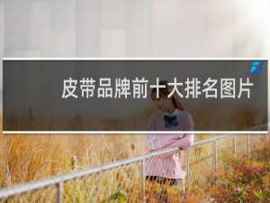 皮带品牌前十大排名图片