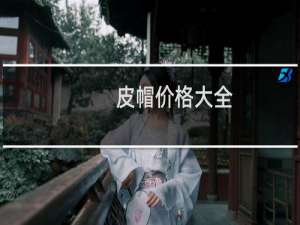 皮帽价格大全