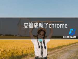 皮擦成就了chrome