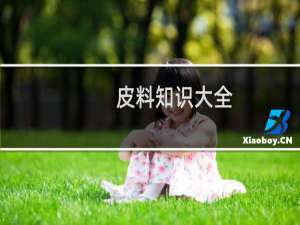 皮料知识大全