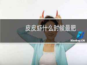 皮皮虾什么时候最肥（皮皮虾什么时候最肥）