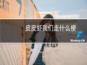 皮皮虾我们走什么梗