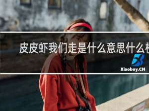 皮皮虾我们走是什么意思什么梗