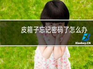 皮箱子忘记密码了怎么办