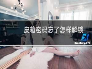 皮箱密码忘了怎样解锁