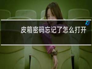 皮箱密码忘记了怎么打开