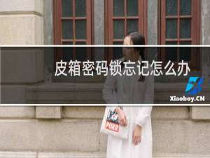 皮箱密码锁忘记怎么办