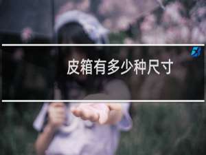 皮箱有多少种尺寸