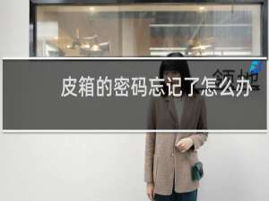 皮箱的密码忘记了怎么办