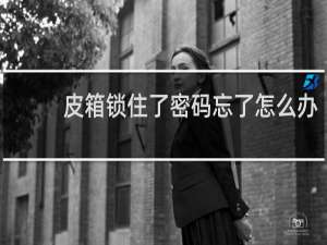 皮箱锁住了密码忘了怎么办