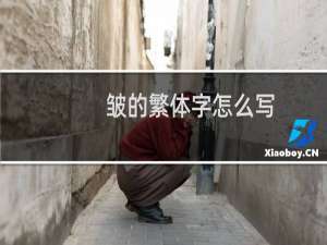 皱的繁体字怎么写