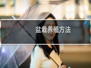 盆栽养殖方法