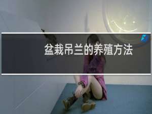 盆栽吊兰的养殖方法