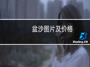 盆沙图片及价格