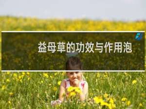 益母草的功效与作用泡脚（益母草的功效与作用）