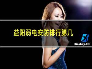 益阳弱电安防排行第几