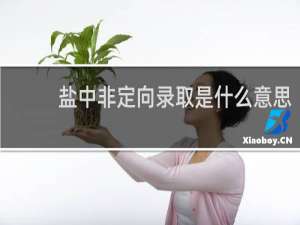 盐中非定向录取是什么意思