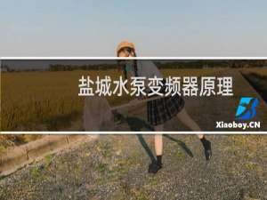 盐城水泵变频器原理