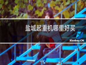 盐城起重机哪里好买