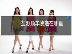 盐源顺丰快递在哪里