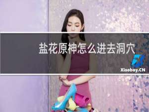 盐花原神怎么进去洞穴