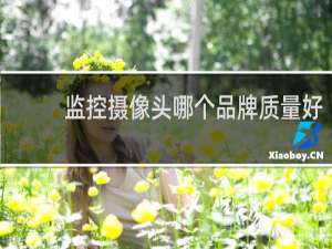 监控摄像头哪个品牌质量好