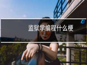 监狱学编程什么梗