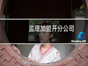 监理加盟开分公司