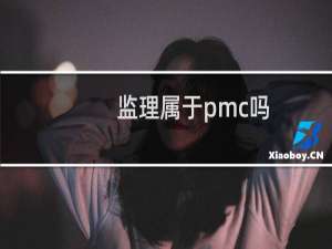 监理属于pmc吗