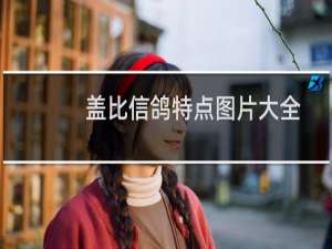 盖比信鸽特点图片大全