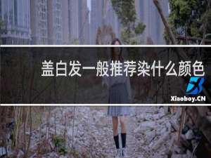 盖白发一般推荐染什么颜色
