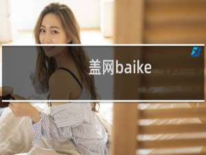 盖网baike