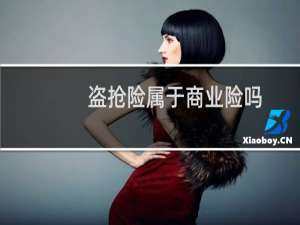 盗抢险属于商业险吗