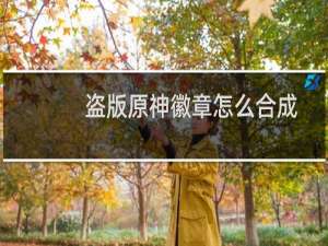 盗版原神徽章怎么合成