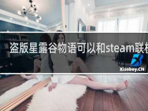 盗版星露谷物语可以和steam联机吗