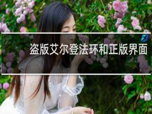 盗版艾尔登法环和正版界面