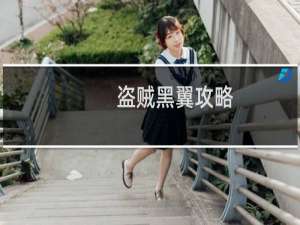 盗贼黑翼攻略