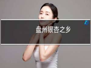盘州银杏之乡