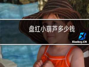 盘红小葫芦多少钱