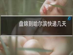 盘锦到哈尔滨快递几天