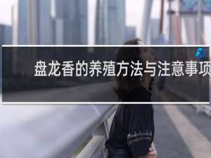 盘龙香的养殖方法与注意事项