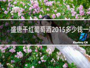盛唐干红葡萄酒2015多少钱一箱