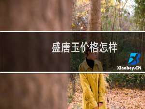 盛唐玉价格怎样